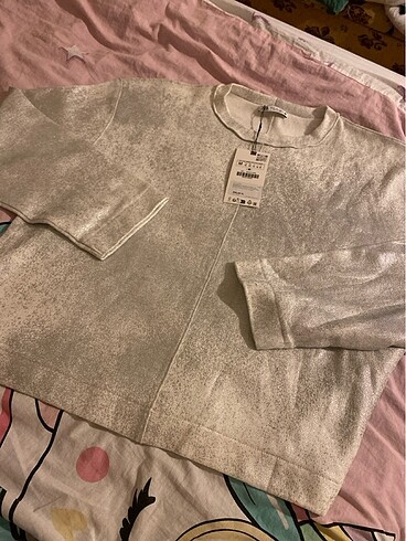 zara sweatshirt