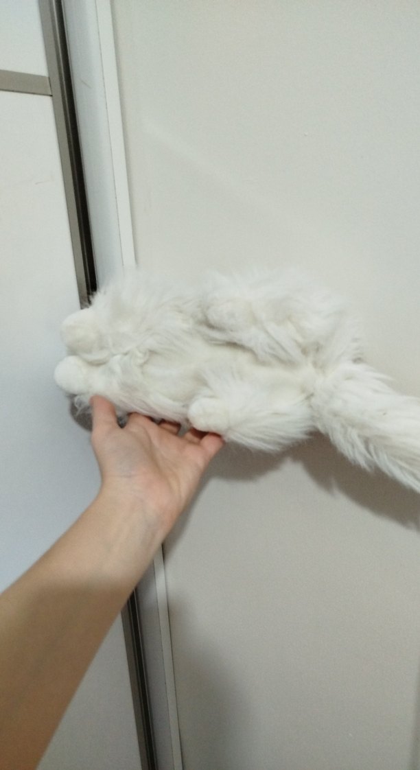 Beyaz Peluş Kedi Uyku Arkadaşı - Görsel 3