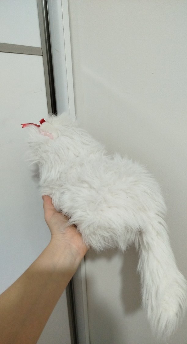 Beyaz Peluş Kedi Uyku Arkadaşı - Görsel 2