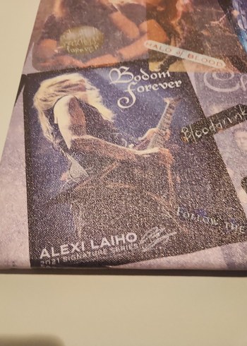 Children Of Bodom Canvas Tablo - Görsel 4