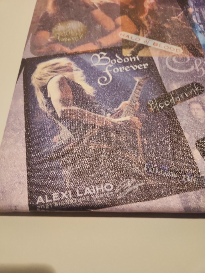 Children Of Bodom Canvas Tablo - Görsel 4