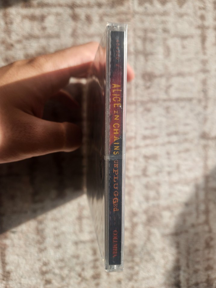 Alice in Chains MTV Unplugged Çizgi Roman - Görsel 3