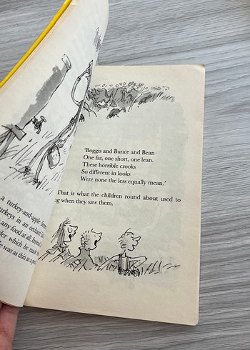 Roald Dahl - Fantastic Mr Fox Çocuk Kitabı