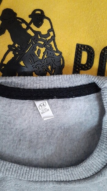 U.S Polo Assn. 4 adet polo swit