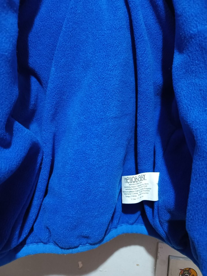 Mavi Erkek Çocuk Kapüşonlu Mont - Görsel 4