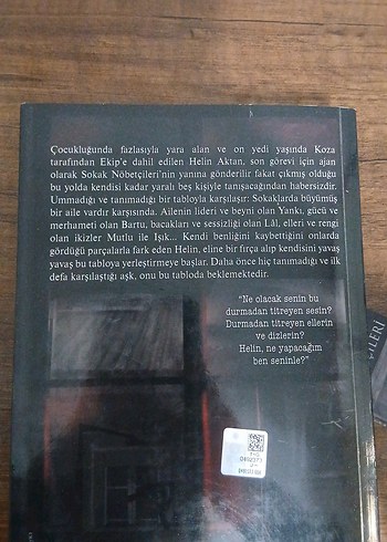 Sokak Nöbetçileri - Aslı Arslan - Görsel 2