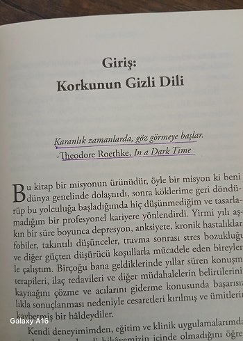 Seninle Başlamadı - Mark Wolynn - Görsel 3