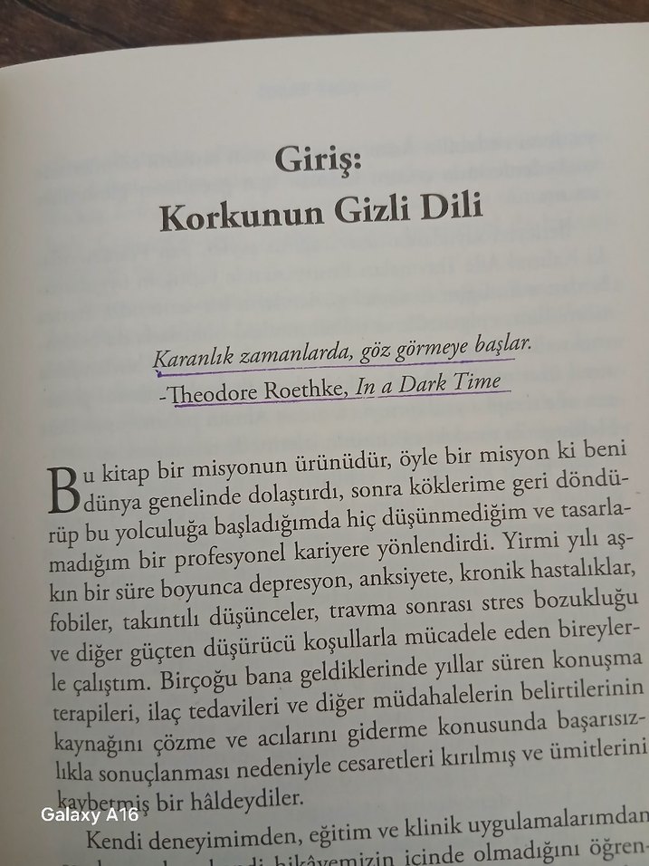 Seninle Başlamadı - Mark Wolynn - Görsel 3