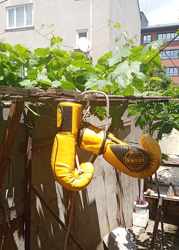 Sarı Baskılı Erkek Boks Eldiveni
