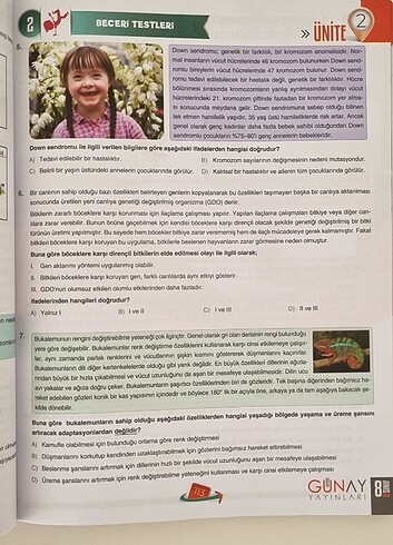  Beden Bumerang Yayınları 8. Sınıf Fen Bilimi