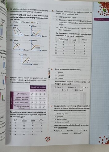 Beden Renk Kafadengi Biyoloji Soru Bankası