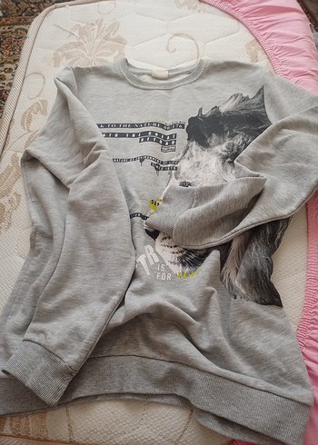 Gri Uzun Kollu Baskılı erkek Sweatshirt