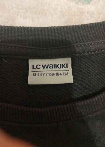 Lcw - Erkek Sweatshirt - Görsel 3