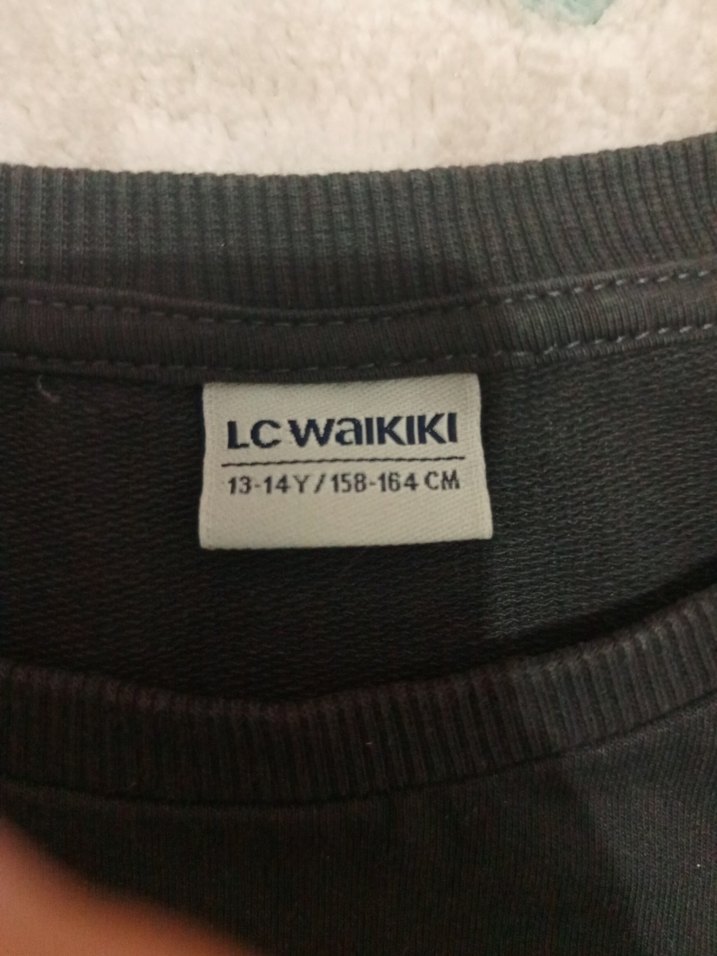 Lcw - Erkek Sweatshirt - Görsel 3