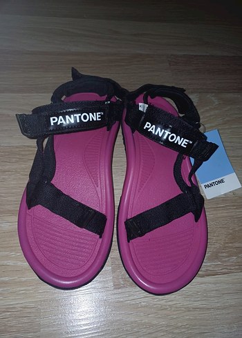 PANTONE Kadın Pembe Cırt Cırtlı Sandalet