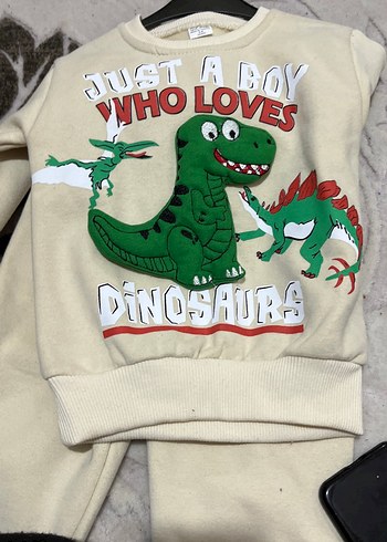 Gri Dinozor Baskılı Erkek Sweatshirt - Görsel 3