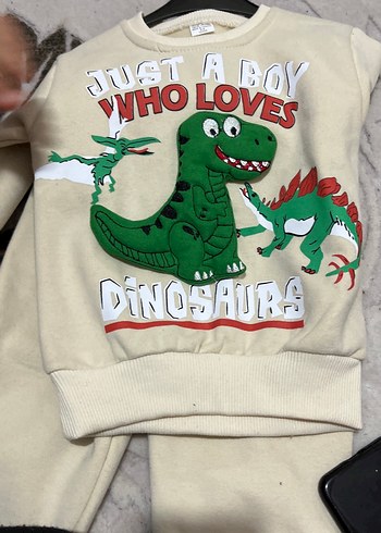 Gri Dinozor Baskılı Erkek Sweatshirt - Görsel 4