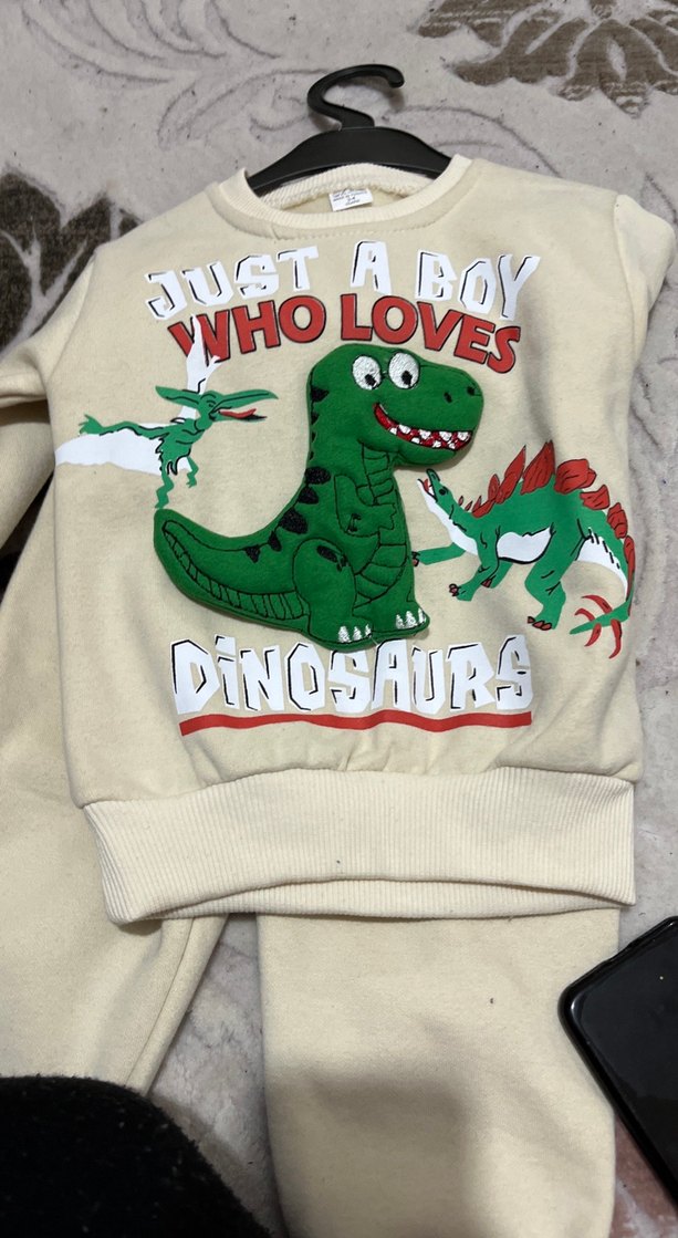 Gri Dinozor Baskılı Erkek Sweatshirt - Görsel 3