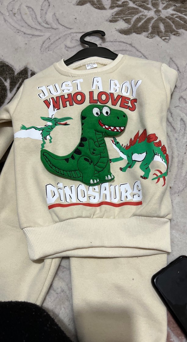 Gri Dinozor Baskılı Erkek Sweatshirt - Görsel 2