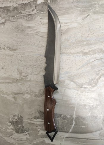 Kahverengi Saplı Keskin orman palası - Görsel 2