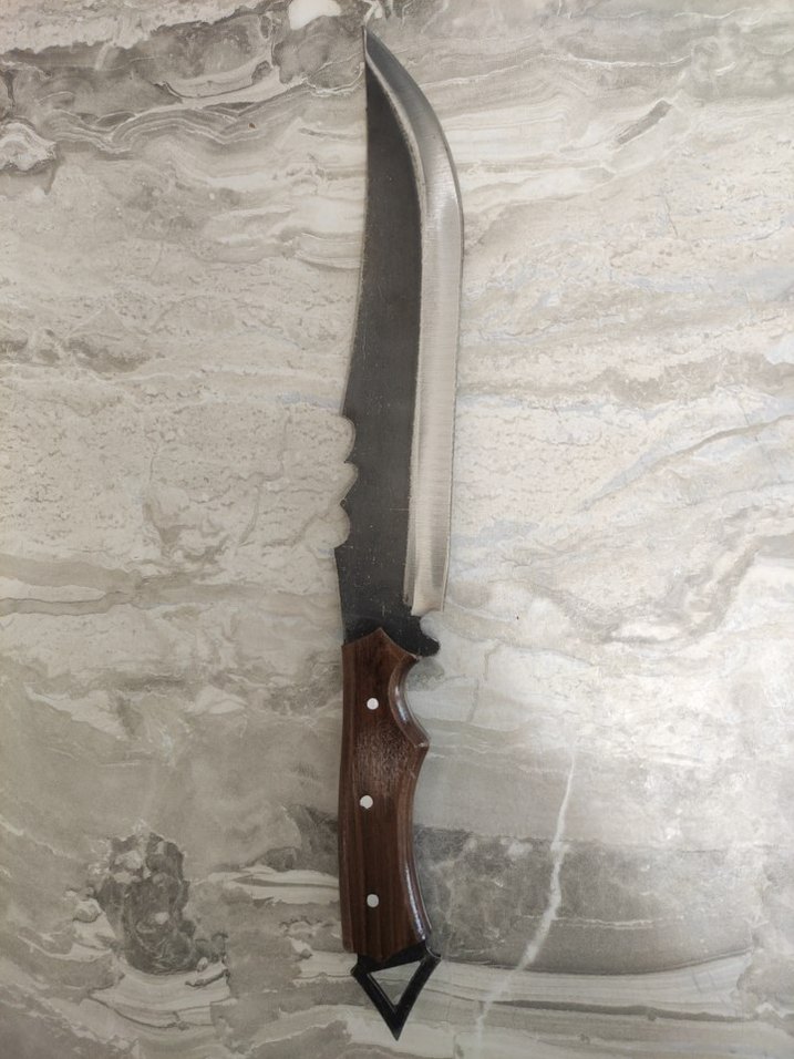 Kahverengi Saplı Keskin orman palası - Görsel 2