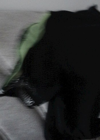 Kız Siyah Baskılı Kemerli Tişört krop - Görsel 3