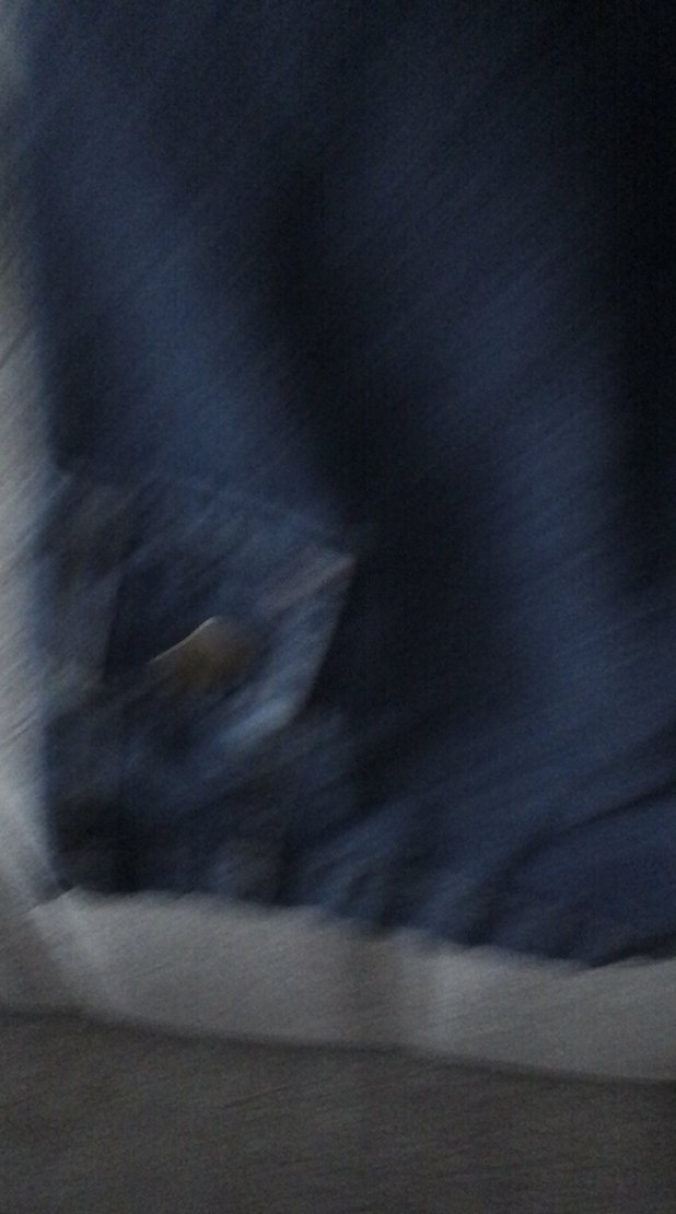 Erkek Çocuk Koyu Mavi Düğmeli Denim Şort - Görsel 3