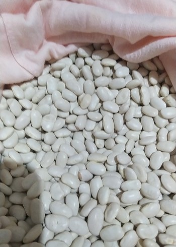 Beyaz Fasulye Taneleri - Görsel 3