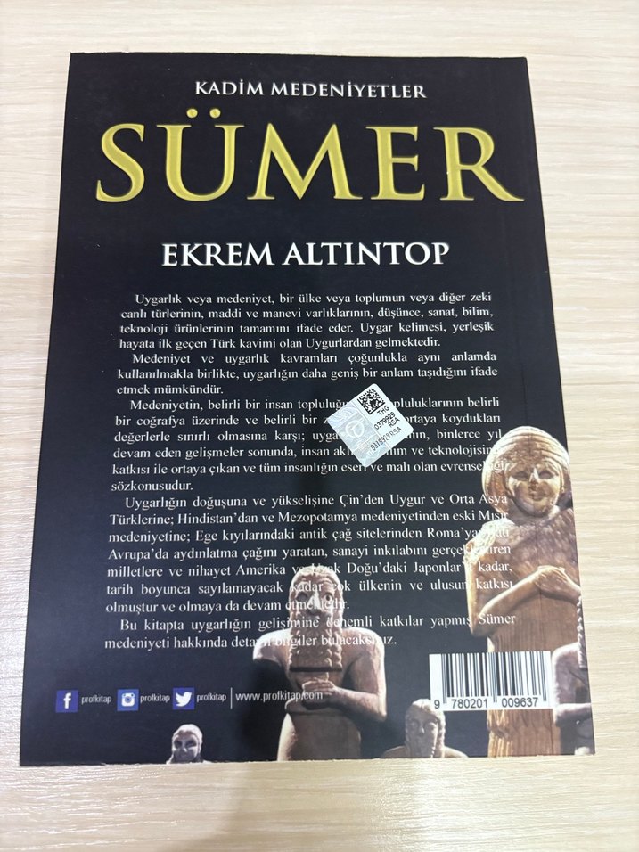 Kadim Medeniyetler Sümer - Ekrem Altıntop - Görsel 2