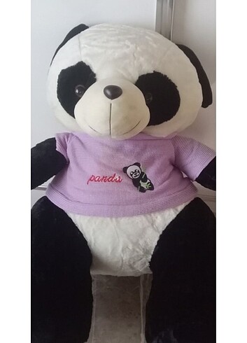 Peluş Ayı