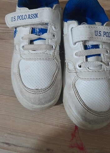 Us polo 