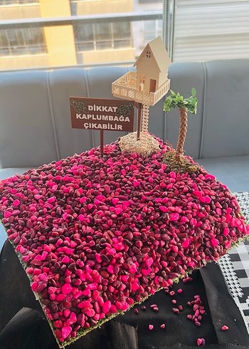 Kaplumbağa güneşlenme alanı/rampası