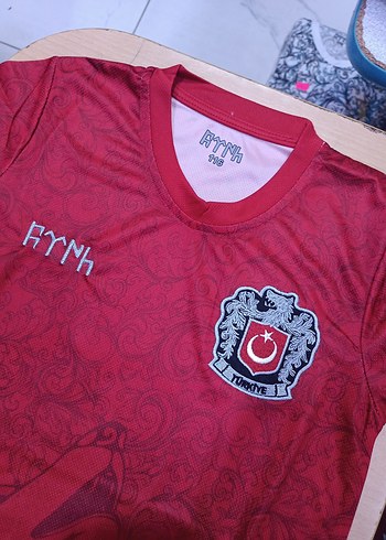 Türkiye konsept bozkurt forması - Görsel 4