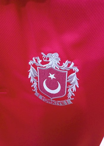Türkiye Polo Tişört
s ve m beden mevcuttur - Görsel 3
