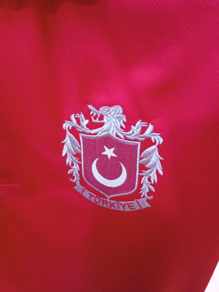 Türkiye Polo Tişört 
s ve m beden mevcuttur - Görsel 3