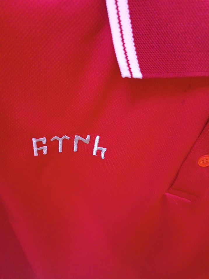 Türkiye Polo Tişört 
s ve m beden mevcuttur - Görsel 4