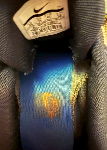 Renkli Mavi Erkek Bağcık - Görsel 5