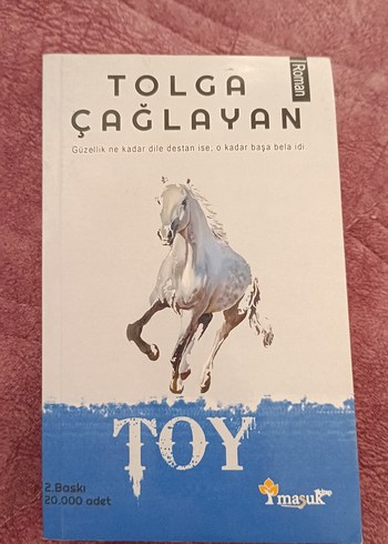 Tolga Çağlayan - Toy Romanı