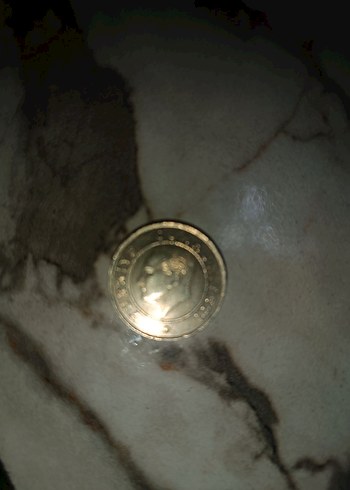 gümüş renkli 25 krş - Görsel 2