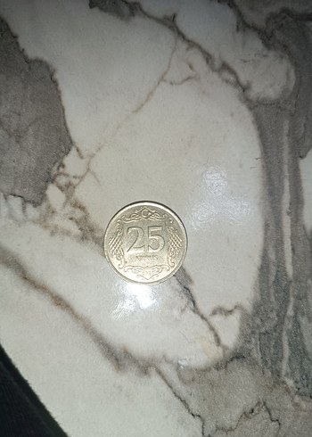 gümüş renkli 25 krş - Görsel 3