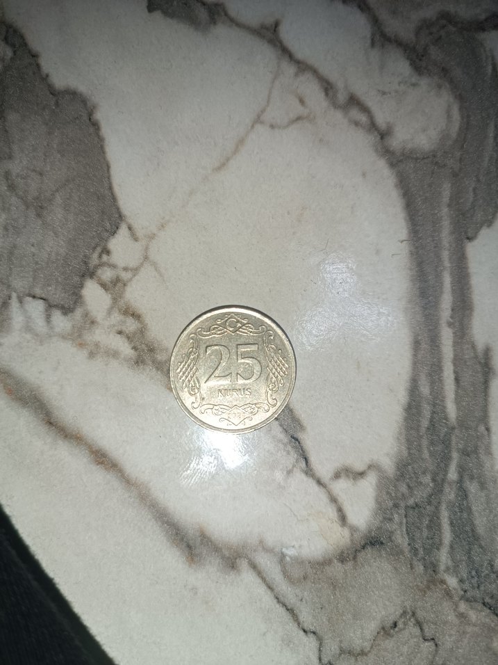 gümüş renkli 25 krş - Görsel 3