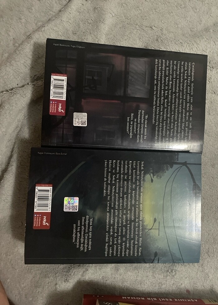 Sokak Nöbetçileri-Aslı Arslan - Görsel 2