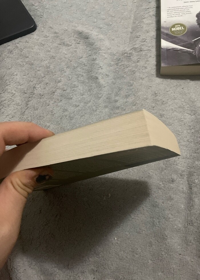 Spinoza-Çetin Balanuye - Görsel 4