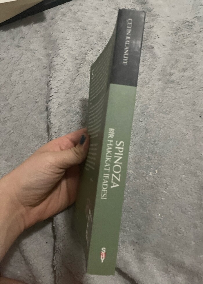 Spinoza-Çetin Balanuye - Görsel 3