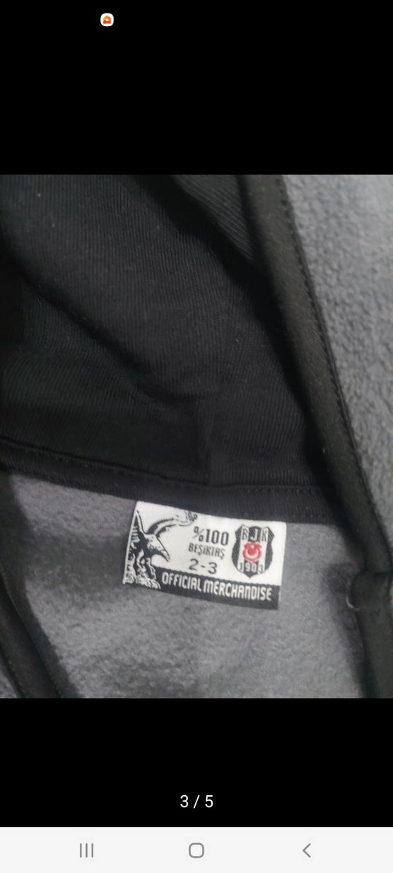 Beşiktaş Lisanslı Kapşonlu Gri Sweatshirt - Görsel 3