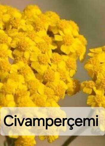 Hemoroid Kremi ( Basur) & Civanperçemi Çayı - Görsel 6