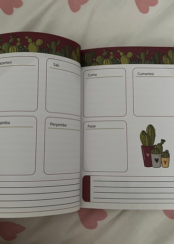Beden Renk Pembe Kaktüs Temalı Haftalık Planlayıcı
