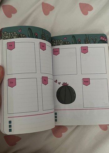 Beden Pembe Kaktüs Temalı Haftalık Planlayıcı