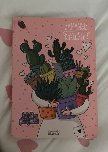 Pembe Kaktüs Temalı Haftalık Planlayıcı