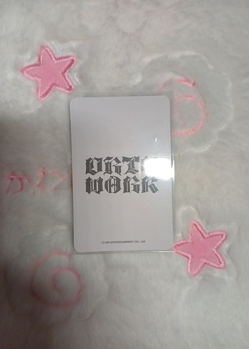 LPS Minişler Dirty work winter photocard
